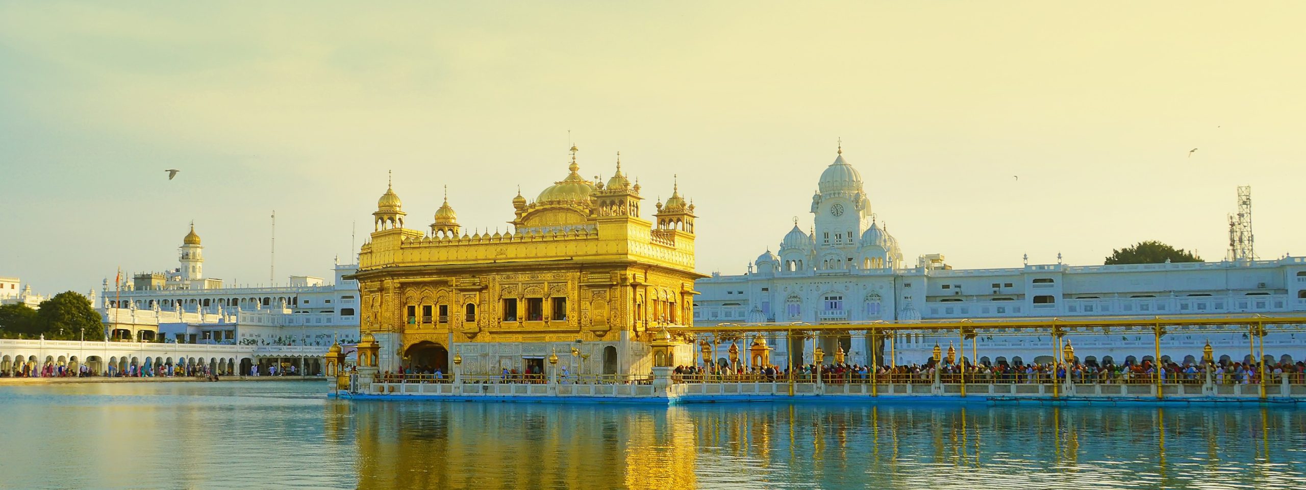 Beyond Addiction Immersion, Amritsar, India, Nov 1523, 2024 Beyond